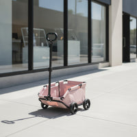 Foldable Pet Carriage Lightweight Pet Carriage with Basket Portable Strolling Cart for Cats, Travel