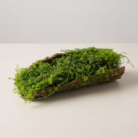 Woodland Decorative Mossy Tree Bark Woodland-Themed Artificial Tree Bark Decor Naturalistic Moss Covered Log Rustic for Terrarium, Photography Setup, Shop Display