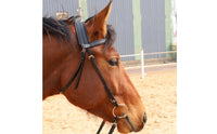 Horse Bridle  Easy To Use PVC Horse Bridle Padded for Equestrians