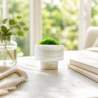 planter