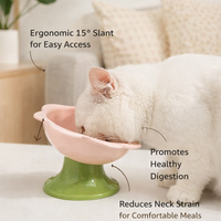 Ceramic Raised Cat Dish, Slanted Pet Food Bowl, Elevated Dog Water Feeder, Neck Protection, Anti-Black Chin, Easy Clean