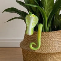 Pot Huggers with Reptilian Pattern Decorative Plant Pot Huggers Playful Hanging Basket Ornament for Interior Stylists