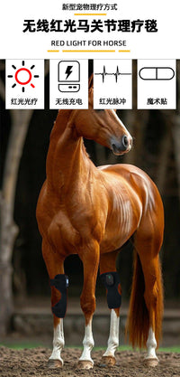 Equine Infrared Therapy Lamp for Knee and Joint Recovery