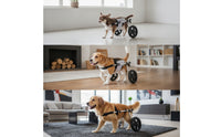 Lightweight Dog Wheelchair Long-Lasting Dog Wheelchair with Harness Stable Pet Mobility Aid Easy to Assemble for Disabled Pets