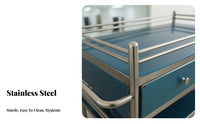 Thickened Frame Stainless Steel Medical Cart 360° Swivel Casters Multi-Tier Treatment Cart Resistant Rolling Instrument Trolley Easy to Clean for Beauticians, Hospitality Workers, Hospital, Operating Room, Oral Prevent Items from Sliding Ice
