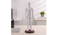 Human Acupoint Insertion Model with Meridian Points Full-Body Acupoint Insertion Model with Acupoints and Meridians Soft-Surface for Students