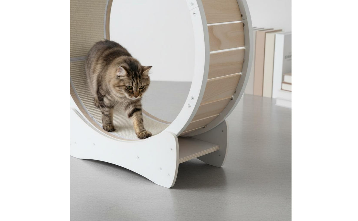 Textured Track Indoor Feline Exercise Wheel White Frame Feline Exercise Wheel Curved Base Pet Equipment Wood-Toned