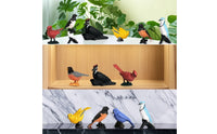 7 Pieces Compact Bird Figurines with Standing Bases Detailed Plastic Bird Figurines Tiny Miniature Birds Cute for Teachers, Dioramas