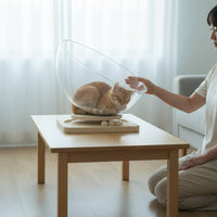 Space Capsule Cat Bed Wood Base Rotating Cat Nest Transparent Outer Layer Capsule Pet Bed for Indoor