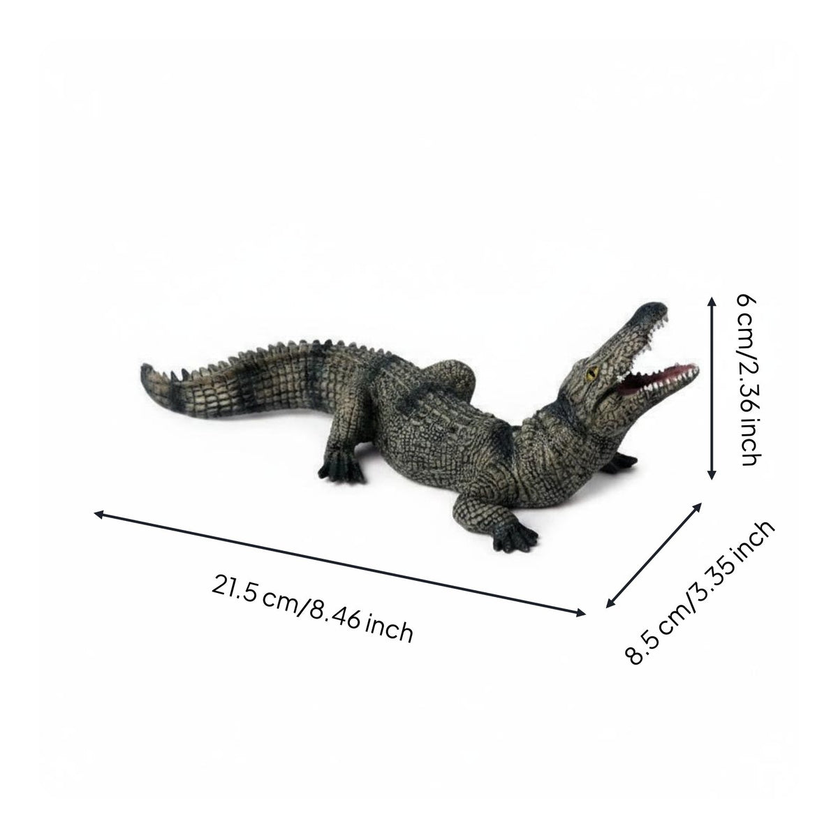 Hand-Painted Crocodile Model Reptile Growth Cycle Toy for Classroom