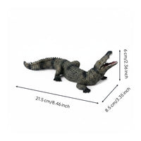 Hand-Painted Crocodile Model Reptile Growth Cycle Toy for Classroom