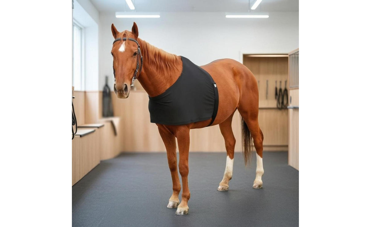 Hook-and-Loop Closure Wraparound Horse Vest High Neckline Stretch Horse Vest Close-Fitting Equestrian Body Protector Polished Finish