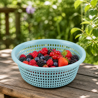 Round Colander Bowl, Synthetic Rice Strainer for Washing Fruits Vegetables, Hollow Design Pasta Strainer, Food-Grade Kitchen Tool