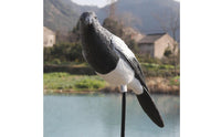 Waterproof Fake Magpie Plastic Realistic Magpie Model Lifelike Outdoor Bird Prop Weather-Resistant for Yard, Orchard