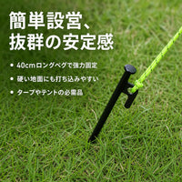 tent stakes and guy lines