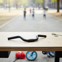 Lightweight 420mm Swallow Handlebar Aluminum Alloy Riser Bar for Folding Bike
