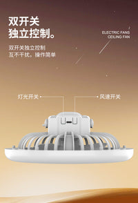 Portable Camping Fan with LED Light, Rechargeable, for Tent and Desk
