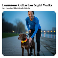 LED Dog High Visibility Glowing Adjustable Size Glowing Dog for Cat Owners, Night Walking, Outdoors, Outdoor
