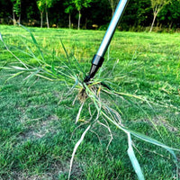 Detachable Stand up Weed Puller No Bending 4-Claw Root Remover Labor Saving Stand up Weeder All Steel for Gardeners, Seniors, Garden, Backyard