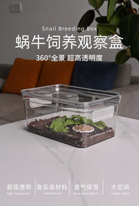 蜗牛饲养盒蜗牛生态缸白玉蜗牛饲养盒蜗牛专用饲养盒蜗牛饲养套装