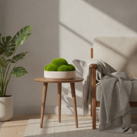 Bowl Planter Low-Profile Shallow Planter Stone-Look Decorative Pot for Living Room, Reception Desk, Hotel Reception Area