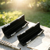 2 Pieces Case Shielded Case with Soft Lining Compact for Home Storage