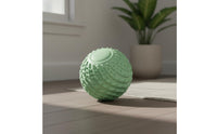 Myofascial Release Peanut Massage Ball Deep Tissue Double Ball Massager Full Body Textured Massage Roller Portable