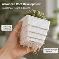 Small Square Plant Pots, 10cm Resin Flower Pots with Drainage, Breathable Outdoor Planters for Dry Plants