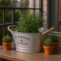 Brushed White Vintage Metal Flower Pot Sturdy Handles Galvanized Oval Planter Oval Metal Planter