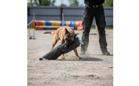 Dog Bite Sleeve Padded Bite Guard Sleeve for Handlers