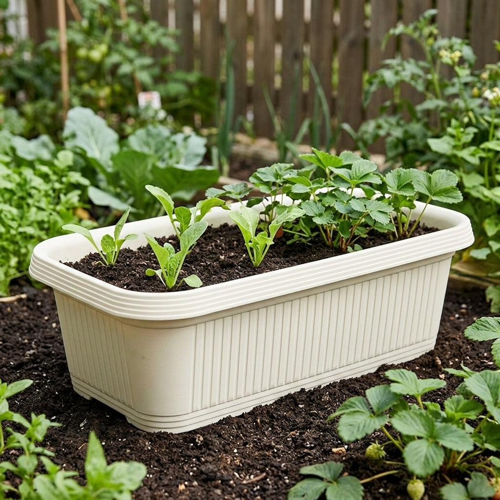 Deep Planter, Plastic, Set of 2, Transparent, Rectangular, Stylish, For Home Gardening, Balcony Gardening