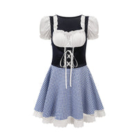 Bavarian Regionn Region N Festival Costume Gingham Pattern German Beer Girl