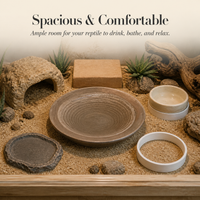 Terracotta Turtle Water Basin with Optional Plastic Base for Reptile Pets