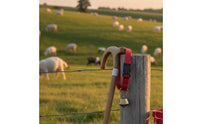 12 Pieces Anti-Lost Goat Collar with Bell Easy Tracking Adjustable Livestock Collar Set Sturdy Material for Farmers