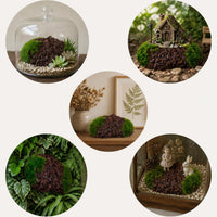 Artificial Flocked Moss Stones for Micro Landscape & Green Wall Decor
