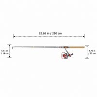 fishing rod and reel combo