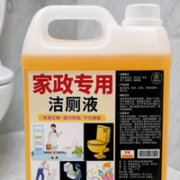 toilet cleaner