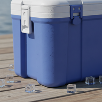 Portable Insulated Cooler Box for Outdoor Picnics, Camping, and Car Travel - Large Capacity Food and Beverage Storage