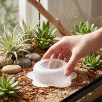 Semi-Transparent Reptile Feeding Bowl Translucent Feeding Dish Low-Profile Reptile Bowl Anti-Escape