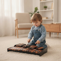 25-Note Xylophone Portable Wooden Xylophone Clear Glockenspiel with Wooden Mallets for Teachers, Music Lessons