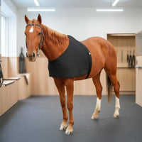 Hook-and-Loop Closure Wraparound Horse Vest High Neckline Stretch Horse Vest Close-Fitting Equestrian Body Protector Polished Finish