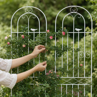 garden trellis