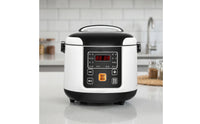 Digital Rice Cooker Compact Electric Rice Cooker Small Appliance Simple for Trucks, Road Trips, Cars
