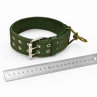 Nylon Webbing Dog Collar, Adjustable, Durable, for Small, Medium, Large Dogs, Walking, Training