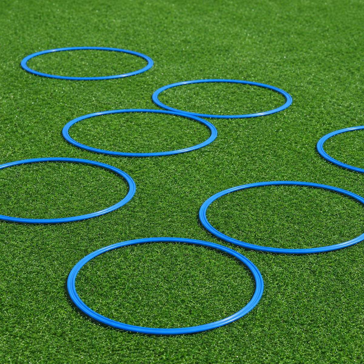 agility training rings