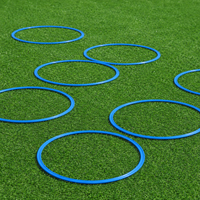 agility training rings