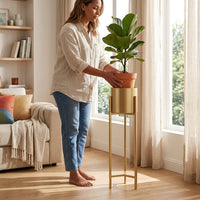 Plant Stand with Pot for Plant Stands Indoor, Metal Craft Living Room Decor, Tall Plant Pot Stand with Round Base, Nordic Style Metal Design