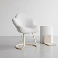 Minimalist Design Petal Back Makeup Chair Ergonomic Backrest Petal Back Chair Luxurious Cushioning Household Furniture Thick Padded Cushion for Women, Girls, Dressing Table, Small Areas, Bedroom, Dorm Room