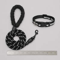 dog leash and collar set