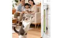 Wall Mounted Cat Toy Space Saving Automatic Cat Toy for Energetic Cats
